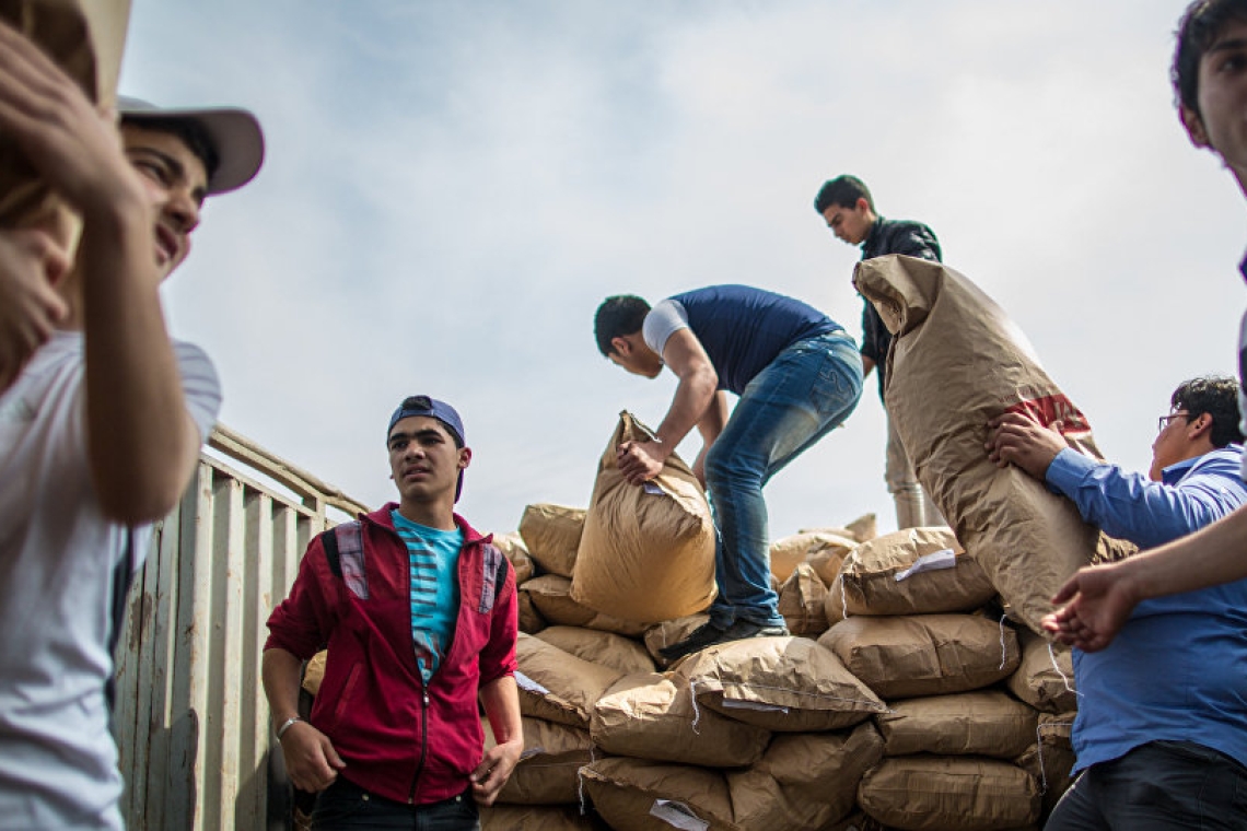 L’aide humanitaire s’accumule à arish après le début de la traversée des convois d’egypte vers gaza 